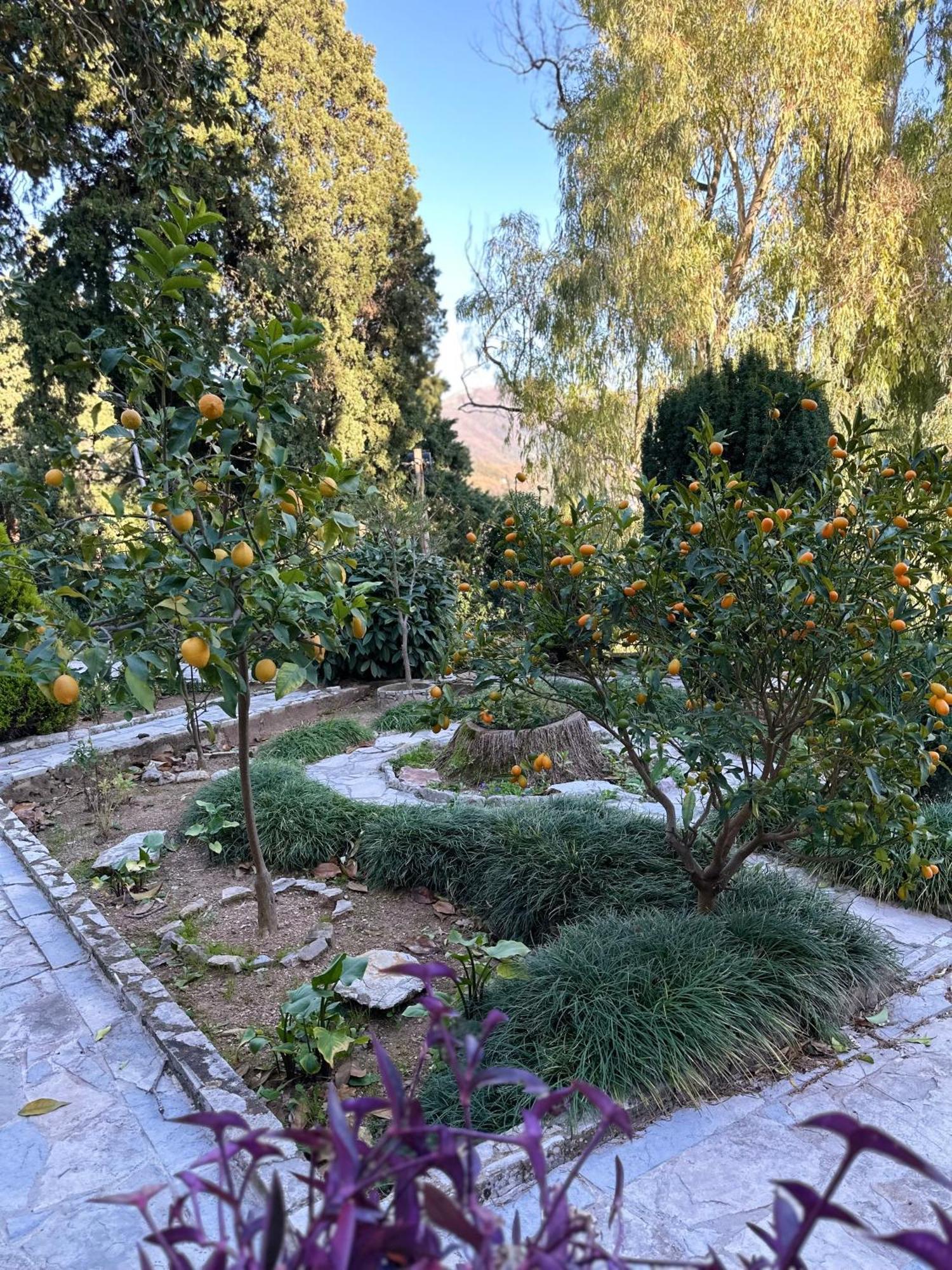 Studio Apartment Palma Herceg Novi Ngoại thất bức ảnh